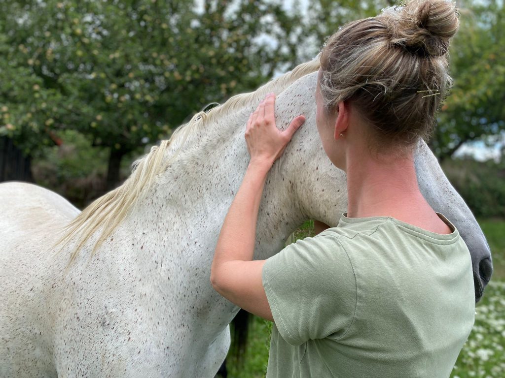 Female vet with woman looking at horse leg